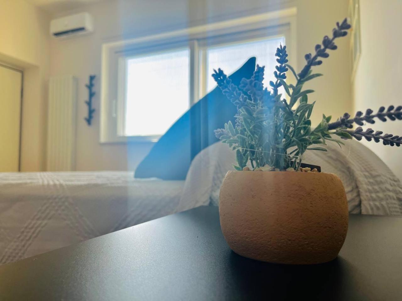 Vedi Napoli E Vivi Apartment Torre del Greco Zewnętrze zdjęcie